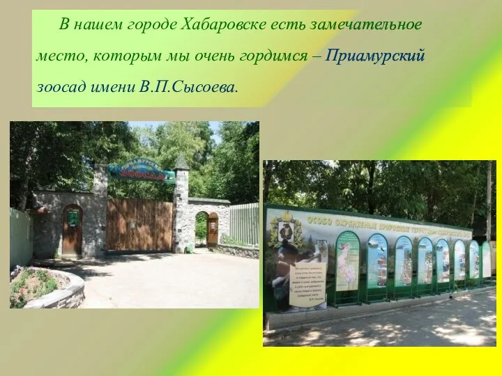 В нашем городе Хабаровске есть замечательное место, которым мы очень гордимся – Приамурский зоосад имени В.П.Сысоева.