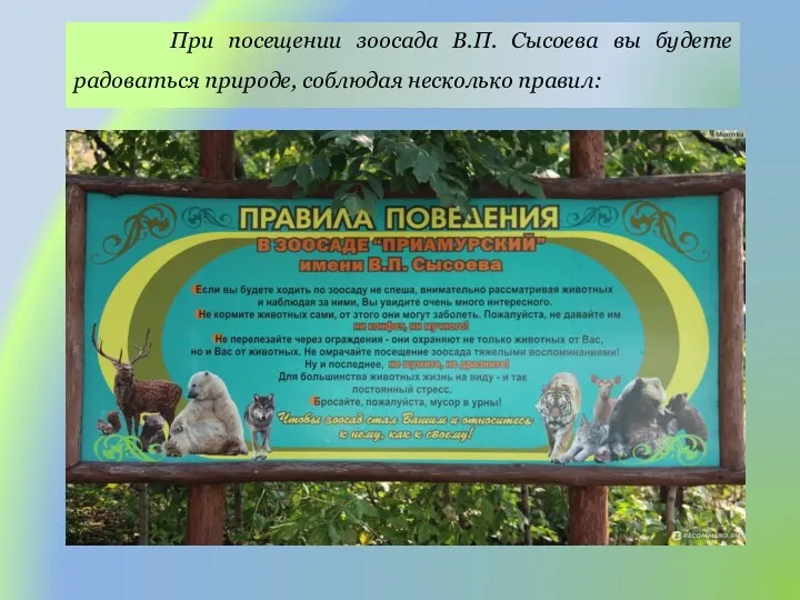 При посещении зоосада В.П. Сысоева вы будете радоваться природе, соблюдая несколько правил: