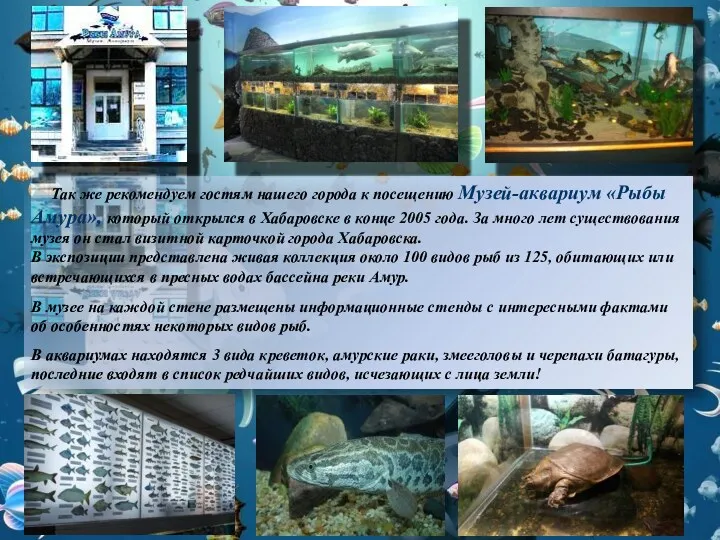 Так же рекомендуем гостям нашего города к посещению Музей-аквариум «Рыбы