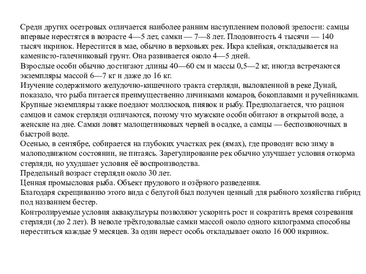 Среди других осетровых отличается наиболее ранним наступлением половой зрелости: самцы