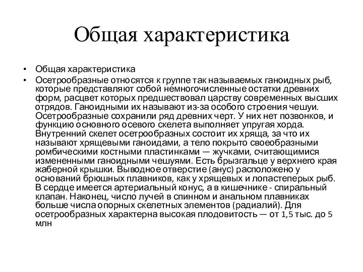 Общая характеристика Общая характеристика Осетрообразные относятся к группе так называемых