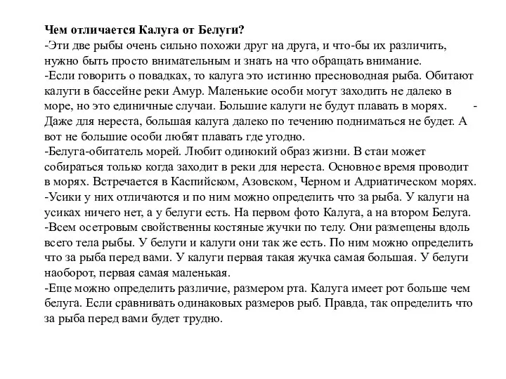 Чем отличается Калуга от Белуги? -Эти две рыбы очень сильно