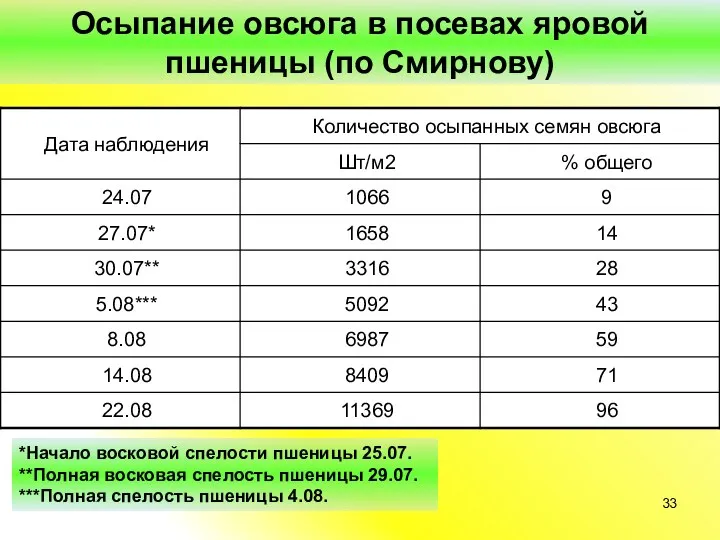 Осыпание овсюга в посевах яровой пшеницы (по Смирнову) *Начало восковой