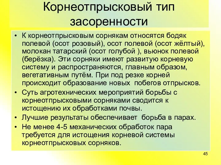 Корнеотпрысковый тип засоренности К корнеотпрысковым сорнякам относятся бодяк полевой (осот