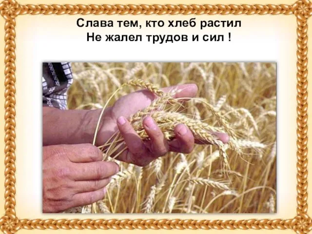 Слава тем, кто хлеб растил Не жалел трудов и сил !
