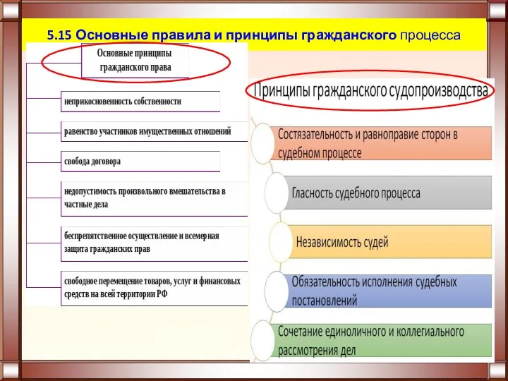 5.15 Основные правила и принципы гражданского процесса