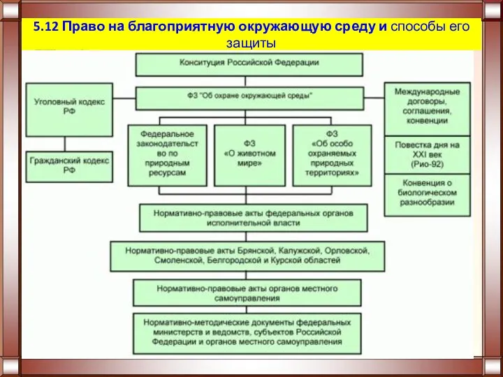 5.12 Право на благоприятную окружающую среду и способы его защиты