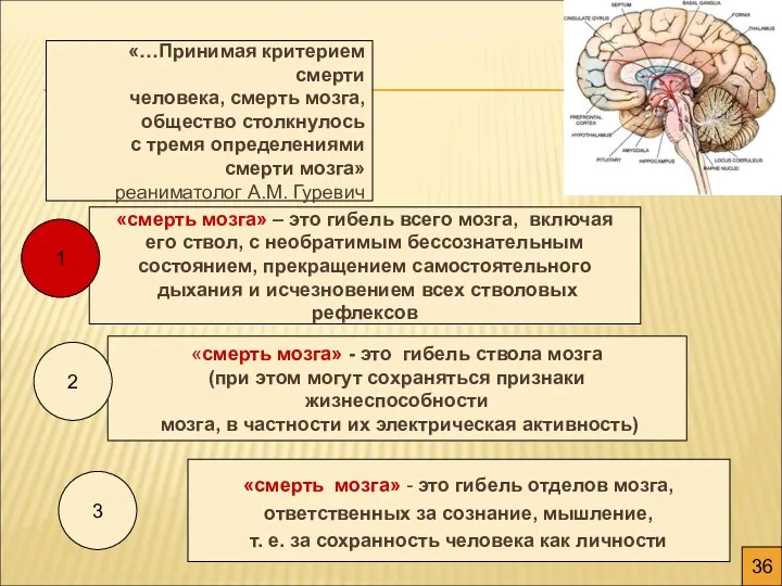 «…Принимая критерием смерти человека, смерть мозга, общество столкнулось с тремя