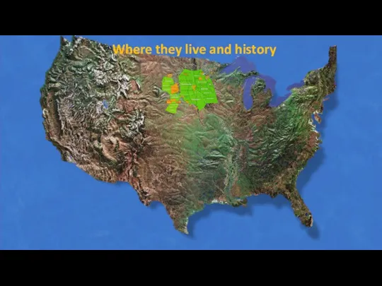 Where they live and history