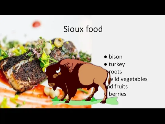 ● bison ● turkey ● roots ● wild vegetables and fruits ● berries Sioux food