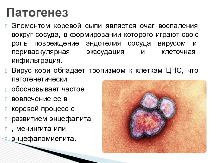 Элементом коревой сыпи является очаг воспаления вокруг сосуда, в формировании которого играют свою
