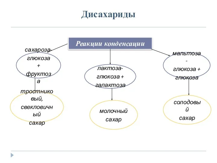 Дисахариды Реакции конденсации сахароза- глюкоза + фруктоза лактоза- глюкоза +