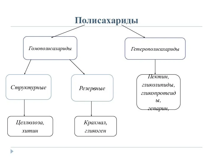 Полисахариды Гомополисахариды Гетерополисахариды Структурные Резервные Пектин, гликолипиды, гликопротеиды, гепарин, Целлюлоза, хитин Крахмал, гликоген