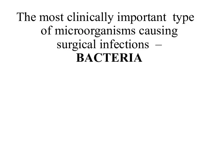The most clinically important type of microorganisms causing surgical infections – BACTERIA