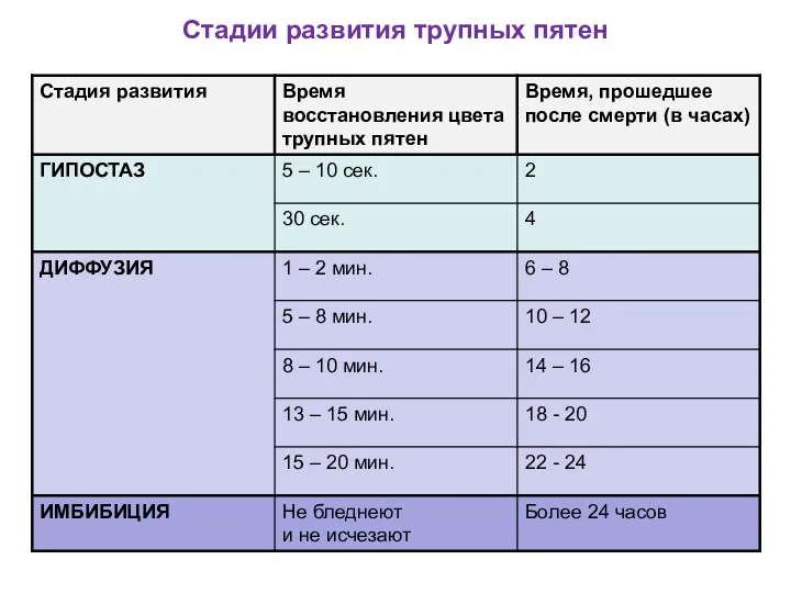 Стадии развития трупных пятен