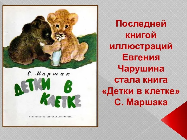 Последней книгой иллюстраций Евгения Чарушина стала книга «Детки в клетке» С. Маршака