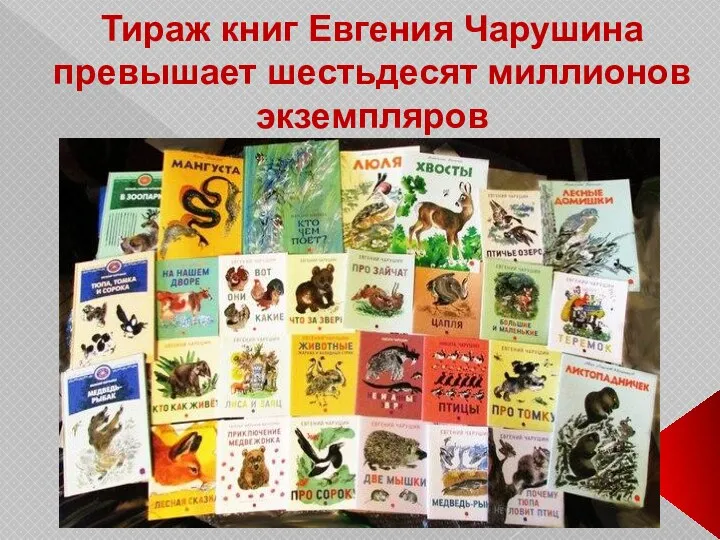 Тираж книг Евгения Чарушина превышает шестьдесят миллионов экземпляров