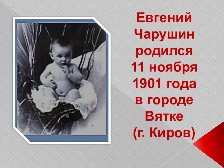 Евгений Чарушин родился 11 ноября 1901 года в городе Вятке (г. Киров)