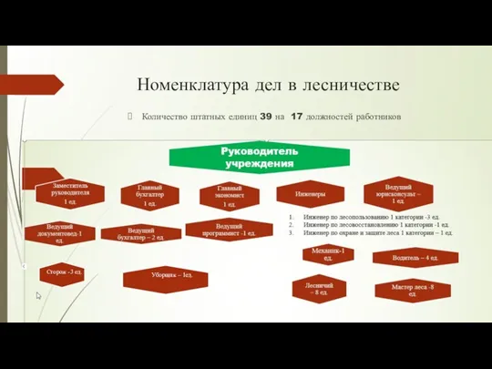 Номенклатура дел в лесничестве Количество штатных единиц 39 на 17 должностей работников