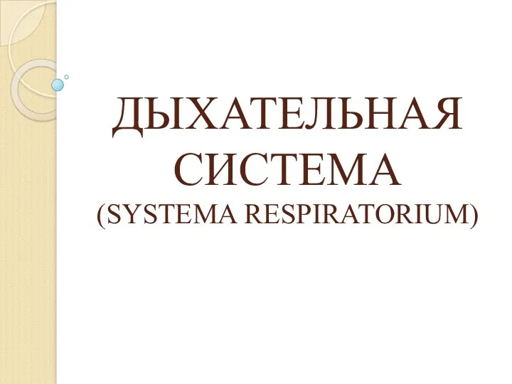 ДЫХАТЕЛЬНАЯ СИСТЕМА (SYSTEMA RESPIRATORIUM)