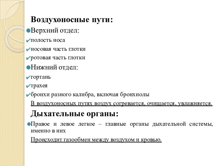 Воздухоносные пути: Верхний отдел: полость носа носовая часть глотки ротовая