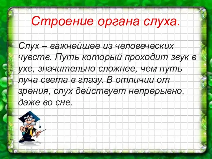 Строение органа слуха. Слух – важнейшее из человеческих чувств. Путь