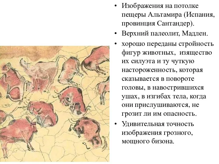 Изображения на потолке пещеры Альтамира (Испания, провинция Сантандер). Верхний палеолит,