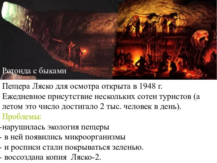 Ротонда с быками Пещера Ляско для осмотра открыта в 1948 г. Ежедневное присутствие