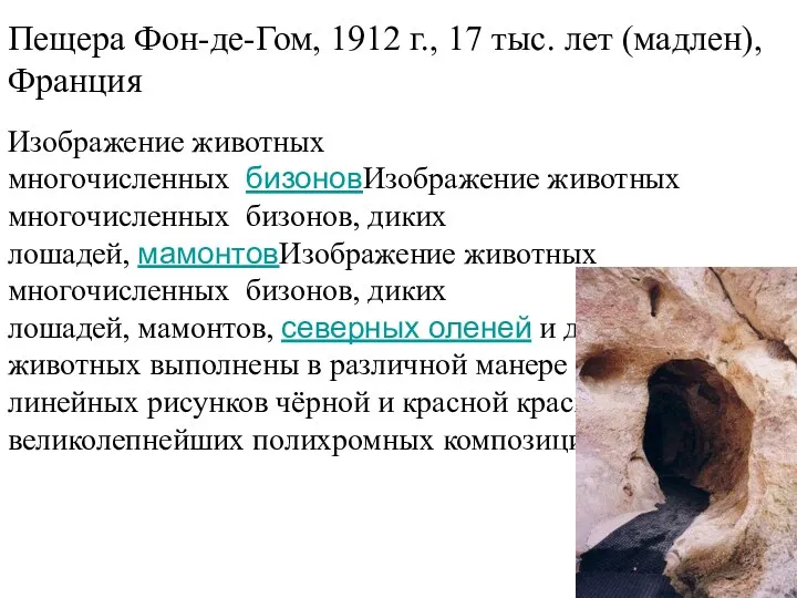 Пещера Фон-де-Гом, 1912 г., 17 тыс. лет (мадлен), Франция Изображение животных многочисленных бизоновИзображение