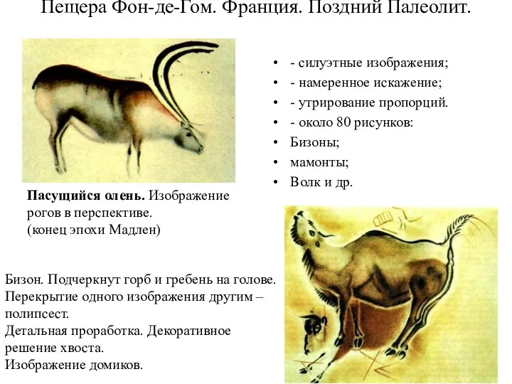 Пещера Фон-де-Гом. Франция. Поздний Палеолит. - силуэтные изображения; - намеренное искажение; - утрирование