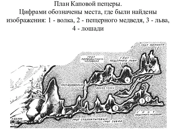 План Каповой пещеры. Цифрами обозначены места, где были найдены изображения: 1 - волка,