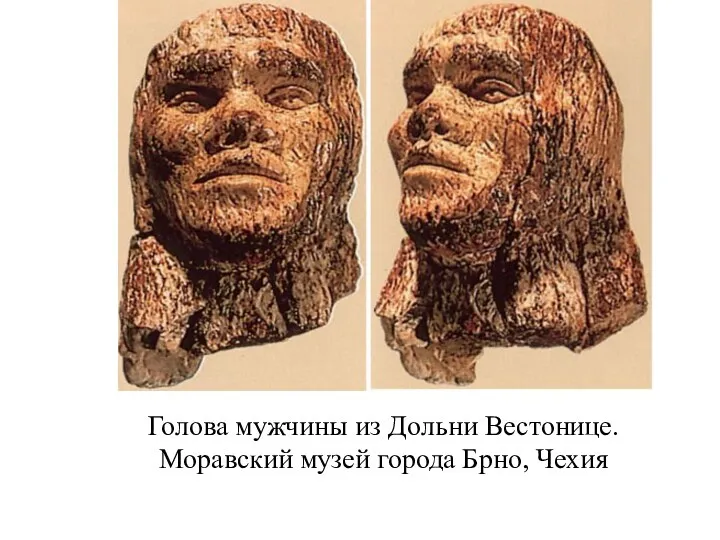 Голова мужчины из Дольни Вестонице. Моравский музей города Брно, Чехия