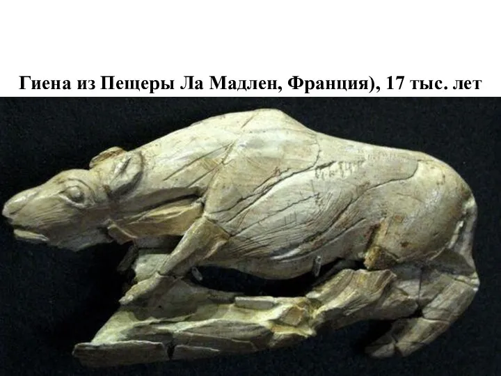 Гиена из Пещеры Ла Мадлен, Франция), 17 тыс. лет