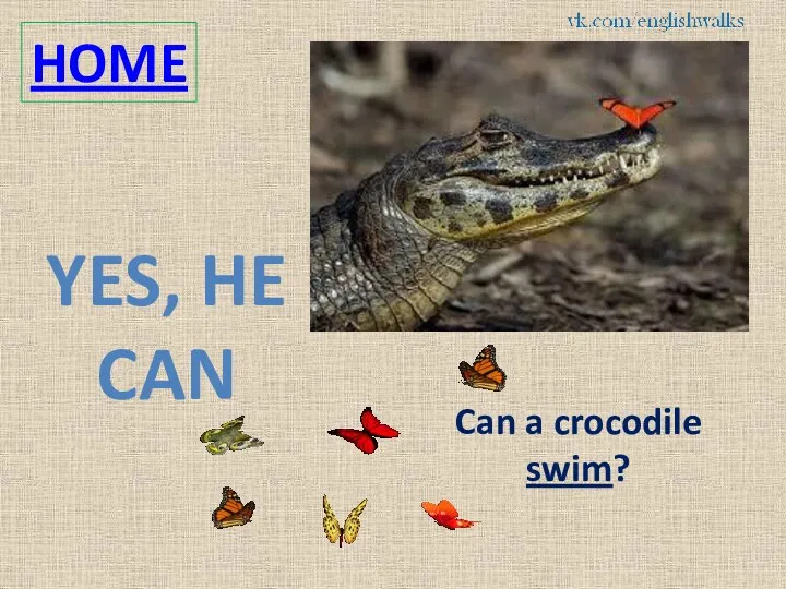 HOME Can a crocodile swim? YES, HE CAN