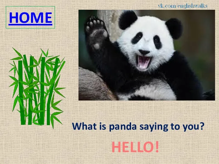 HOME What is panda saying to you? HELLO!