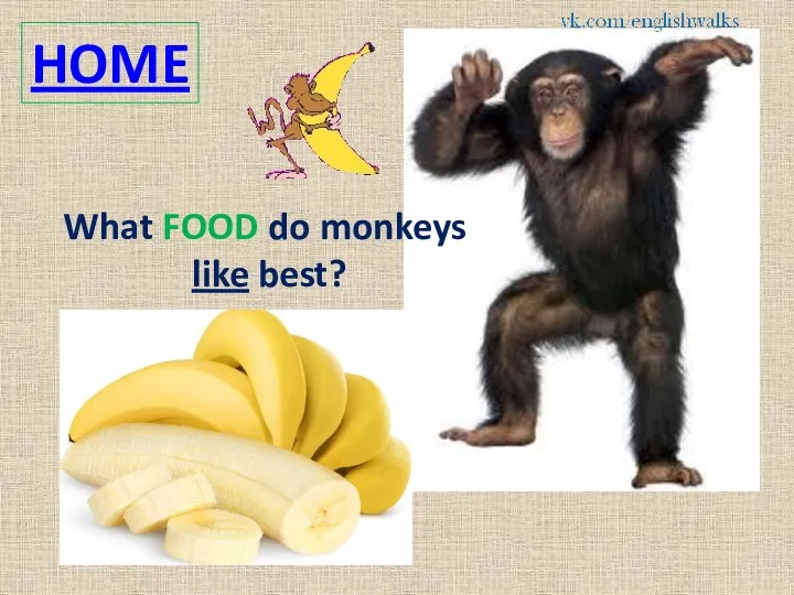 HOME What FOOD do monkeys like best?