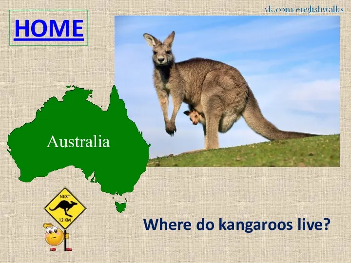 HOME Where do kangaroos live?