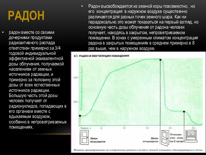 радон вместе со своими дочерними продуктами радиоактивного распада ответствен примерно