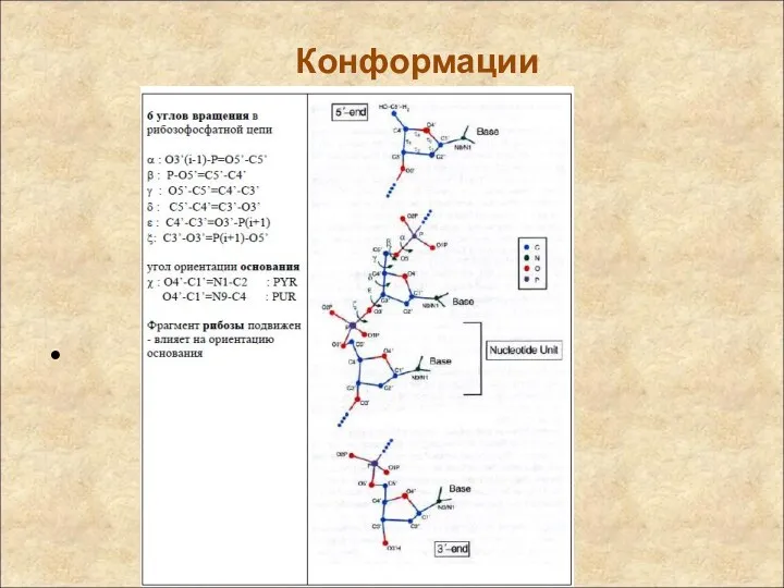 Конформации