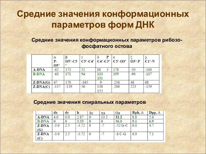 Средние значения конформационных параметров форм ДНК Средние значения конформационных параметров рибозо-фосфатного остова Средние значения спиральных параметров