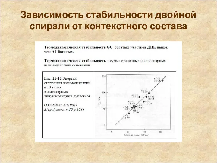 Зависимость стабильности двойной спирали от контекстного состава