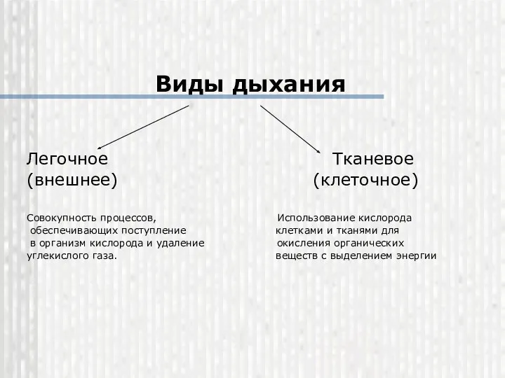 Виды дыхания Легочное Тканевое (внешнее) (клеточное) Совокупность процессов, Использование кислорода