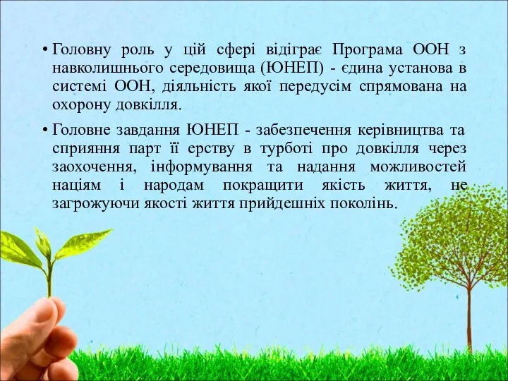 Головну роль у цій сфері відіграє Програма ООН з навколишнього