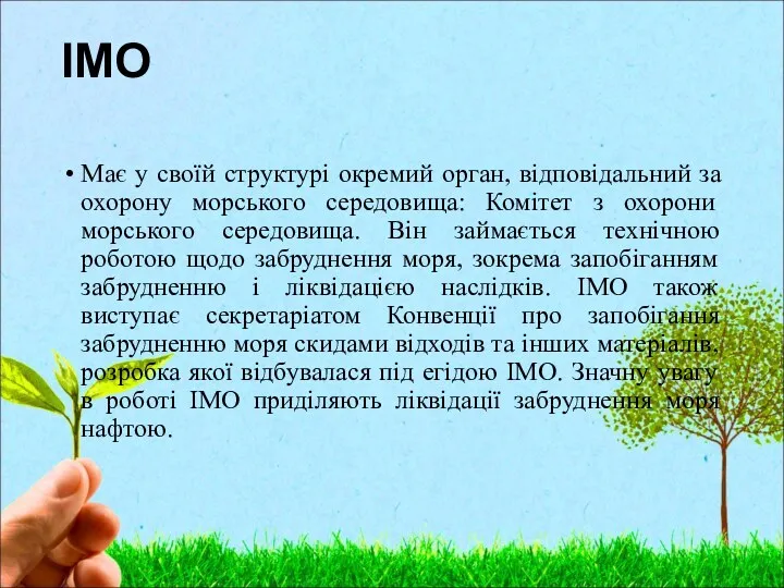 ІМО Maє у своїй структурі окремий орган, відповідальний за охорону