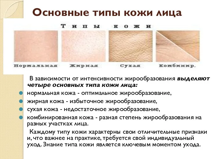 Основные типы кожи лица В зависимости от интенсивности жирообразования выделяют четыре основных типа