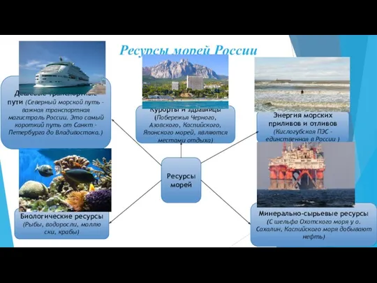Ресурсы морей России Дешевые транспортные пути (Северный морской путь –