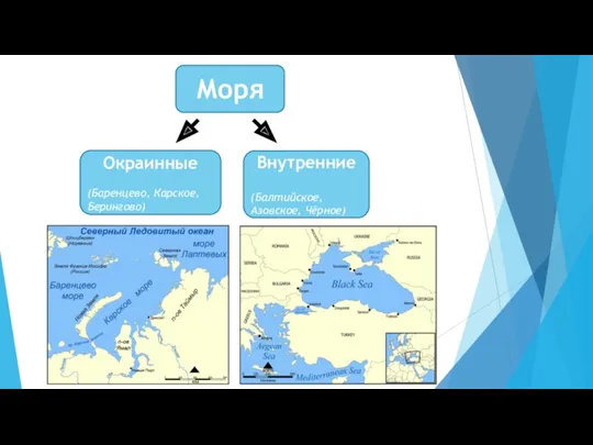 Моря Окраинные (Баренцево, Карское, Берингово) Внутренние (Балтийское, Азовское, Чёрное)