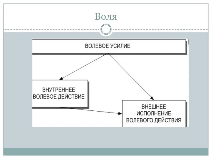 Воля