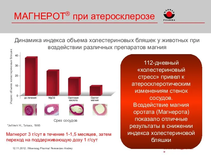 Динамика индекса объема холестериновых бляшек у животных при воздействии различных