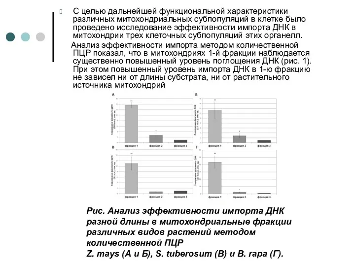 С целью дальнейшей функциональной характеристики различных митохондриальных субпопуляций в клетке было проведено исследование